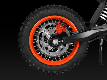 Dual Hydraulic Disc Brakes
